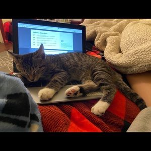 Meet your Posher, Natalie